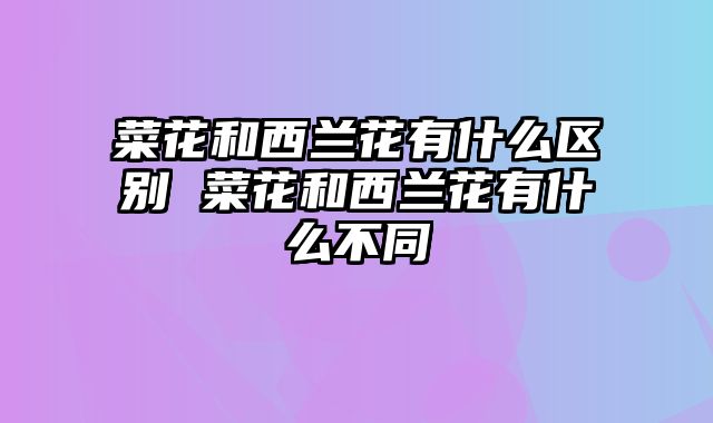 菜花和西兰花有什么区别 菜花和西兰花有什么不同