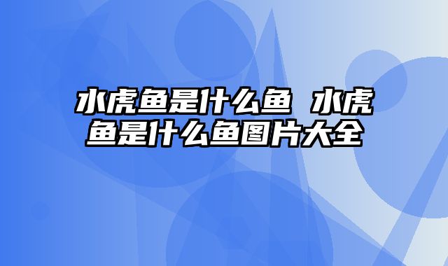 水虎鱼是什么鱼 水虎鱼是什么鱼图片大全