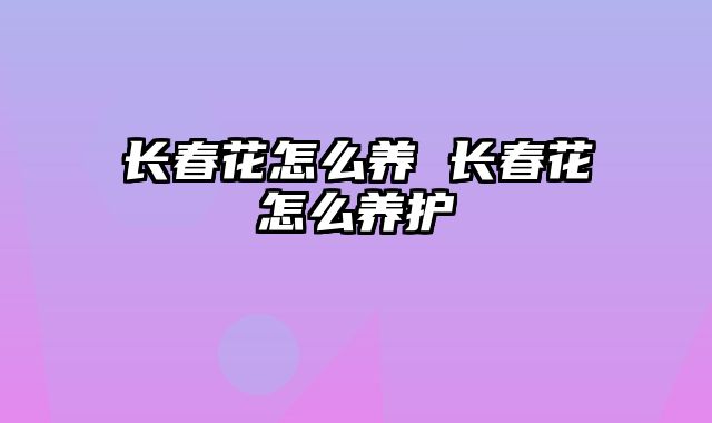 长春花怎么养 长春花怎么养护