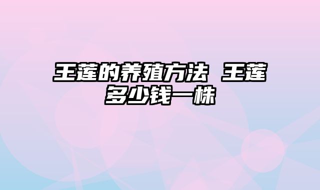 王莲的养殖方法 王莲多少钱一株