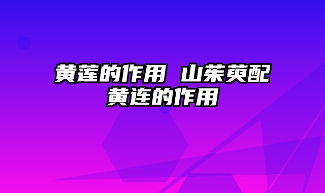 黄莲的作用 山茱萸配黄连的作用