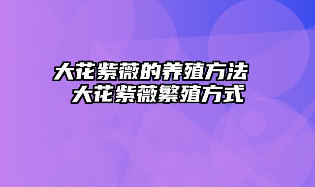 大花紫薇的养殖方法 大花紫薇繁殖方式