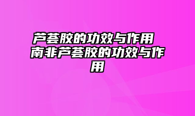 芦荟胶的功效与作用 南非芦荟胶的功效与作用