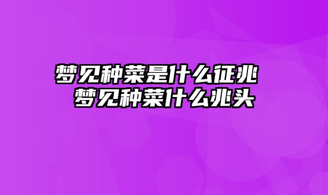 梦见种菜是什么征兆 梦见种菜什么兆头