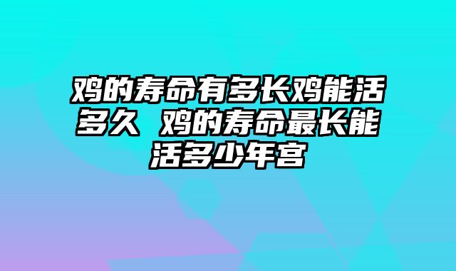 鸡的寿命有多长鸡能活多久 鸡的寿命最长能活多少年宫