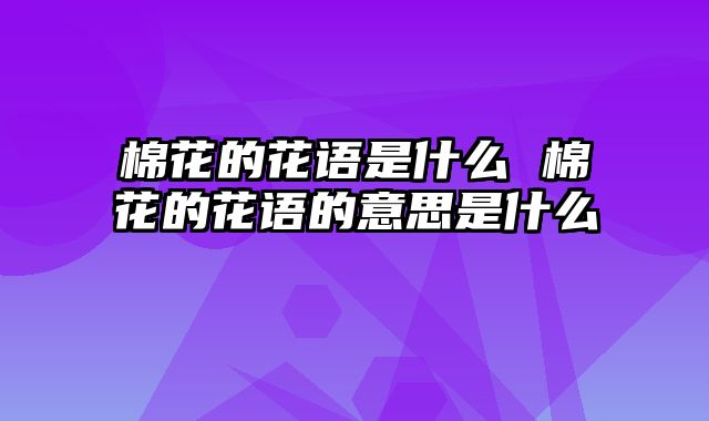 棉花的花语是什么 棉花的花语的意思是什么
