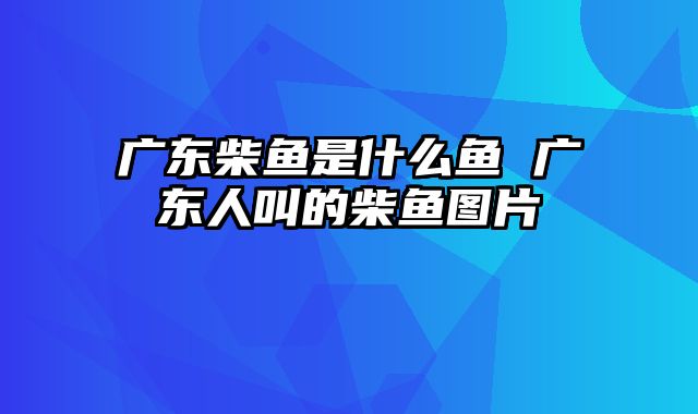广东柴鱼是什么鱼 广东人叫的柴鱼图片