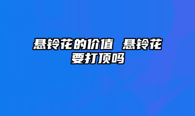 悬铃花的价值 悬铃花要打顶吗