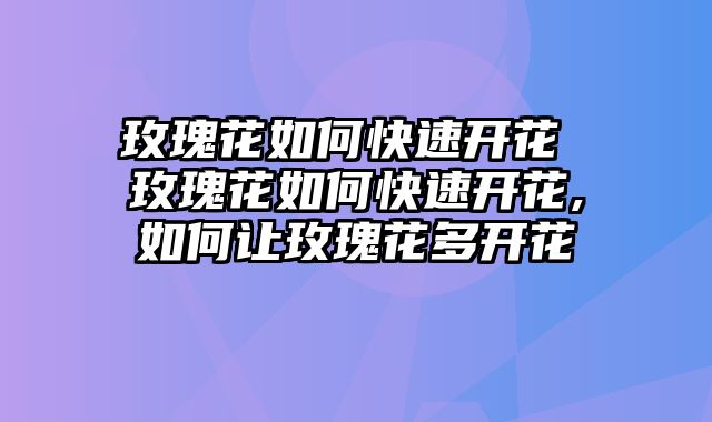 玫瑰花如何快速开花 玫瑰花如何快速开花,如何让玫瑰花多开花