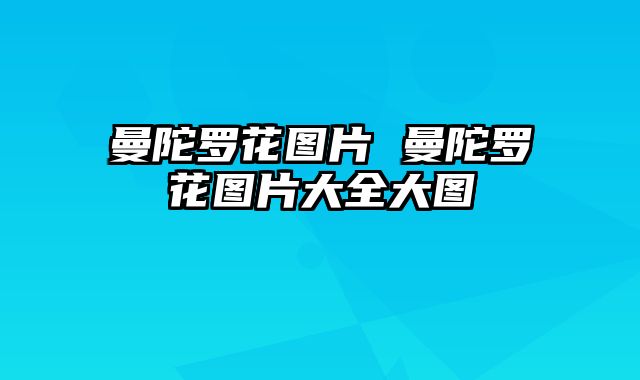 曼陀罗花图片 曼陀罗花图片大全大图