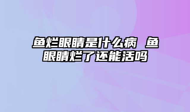 鱼烂眼睛是什么病 鱼眼睛烂了还能活吗