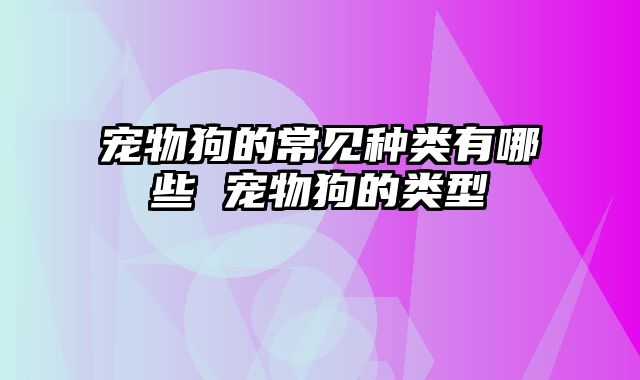 宠物狗的常见种类有哪些 宠物狗的类型