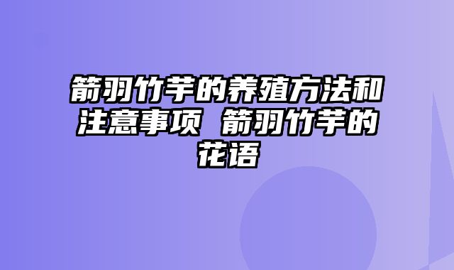 箭羽竹芋的养殖方法和注意事项 箭羽竹芋的花语