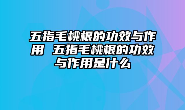 五指毛桃根的功效与作用 五指毛桃根的功效与作用是什么