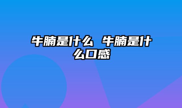 牛腩是什么 牛腩是什么口感