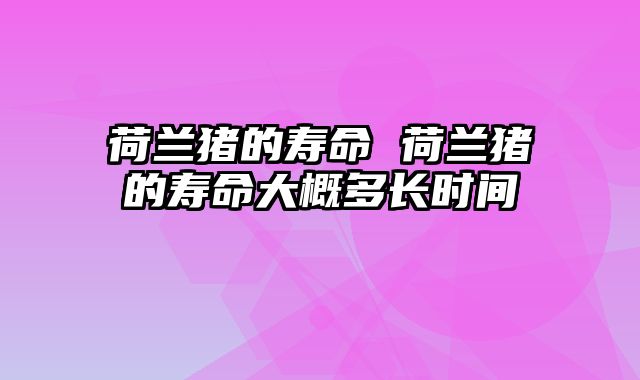 荷兰猪的寿命 荷兰猪的寿命大概多长时间