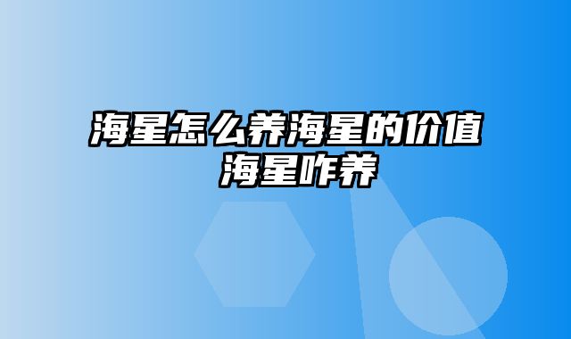 海星怎么养海星的价值 海星咋养