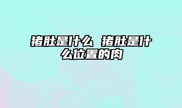 猪肚是什么 猪肚是什么位置的肉
