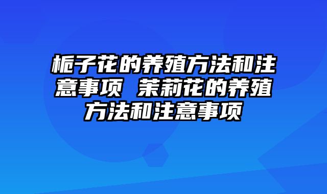 栀子花的养殖方法和注意事项 茉莉花的养殖方法和注意事项