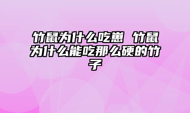竹鼠为什么吃崽 竹鼠为什么能吃那么硬的竹子