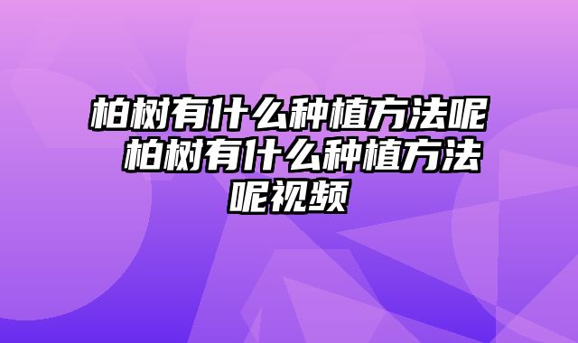 柏树有什么种植方法呢 柏树有什么种植方法呢视频