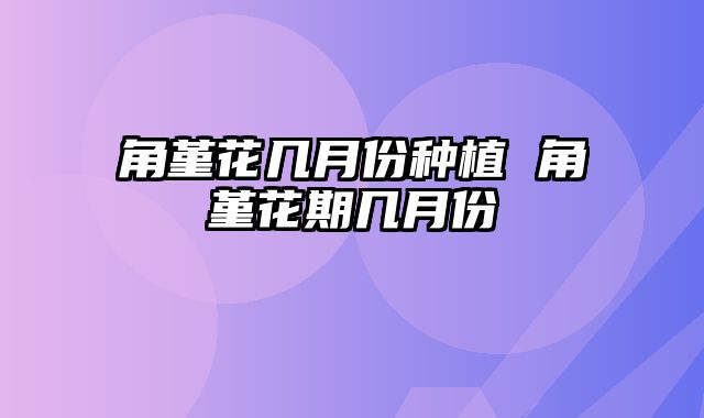 角堇花几月份种植 角堇花期几月份