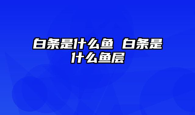 白条是什么鱼 白条是什么鱼层