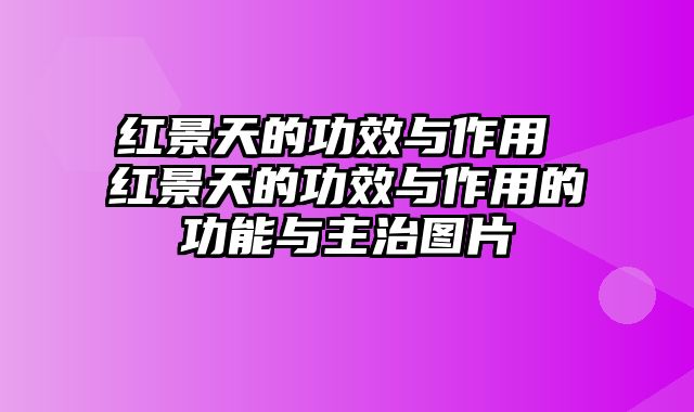 红景天的功效与作用 红景天的功效与作用的功能与主治图片
