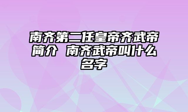 南齐第二任皇帝齐武帝简介 南齐武帝叫什么名字