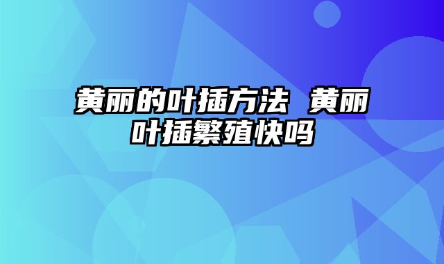 黄丽的叶插方法 黄丽叶插繁殖快吗