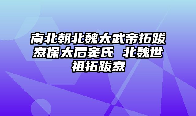 南北朝北魏太武帝拓跋焘保太后窦氏 北魏世祖拓跋焘