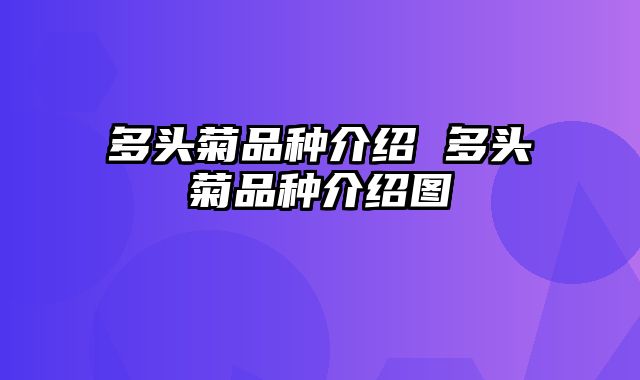 多头菊品种介绍 多头菊品种介绍图