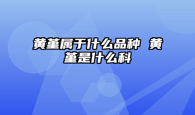 黄堇属于什么品种 黄堇是什么科