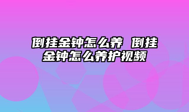 倒挂金钟怎么养 倒挂金钟怎么养护视频
