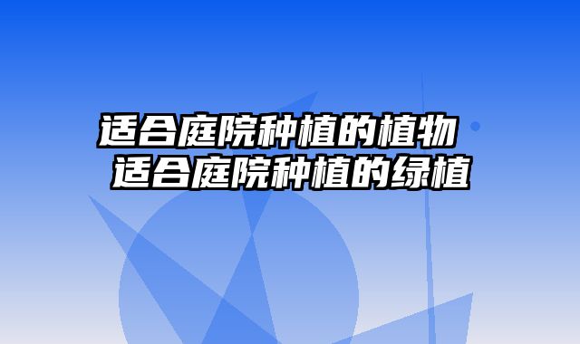 适合庭院种植的植物 适合庭院种植的绿植