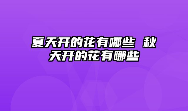 夏天开的花有哪些 秋天开的花有哪些