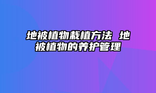 地被植物栽植方法 地被植物的养护管理