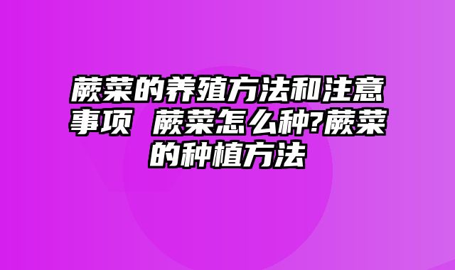 蕨菜的养殖方法和注意事项 蕨菜怎么种?蕨菜的种植方法