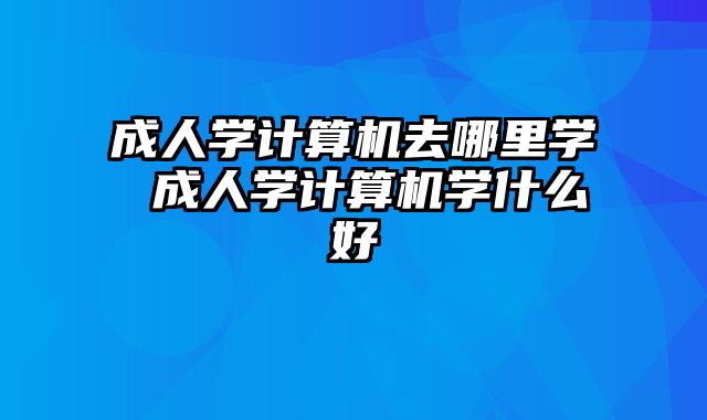 成人学计算机去哪里学 成人学计算机学什么好