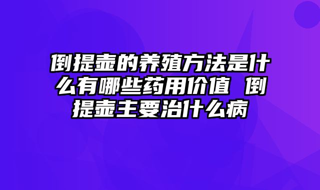 倒提壶的养殖方法是什么有哪些药用价值 倒提壶主要治什么病