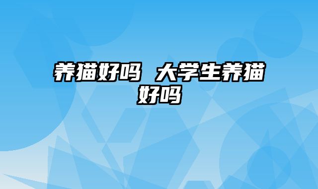 养猫好吗 大学生养猫好吗