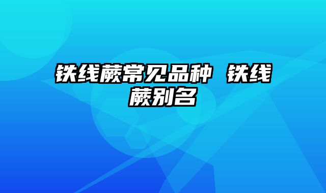 铁线蕨常见品种 铁线蕨别名