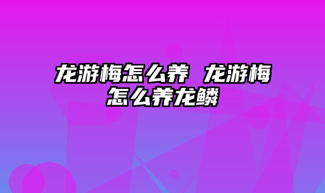 龙游梅怎么养 龙游梅怎么养龙鳞