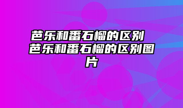 芭乐和番石榴的区别 芭乐和番石榴的区别图片
