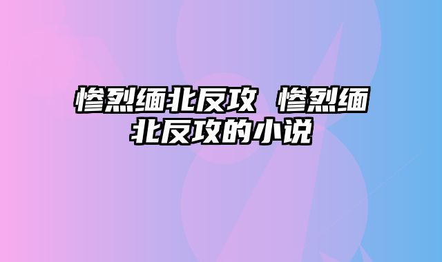 惨烈缅北反攻 惨烈缅北反攻的小说