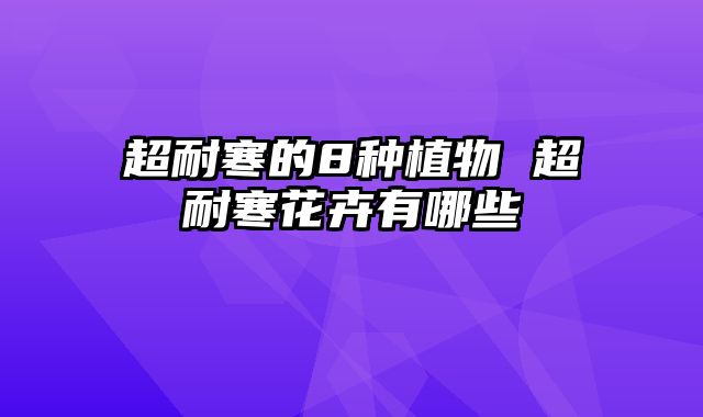 超耐寒的8种植物 超耐寒花卉有哪些