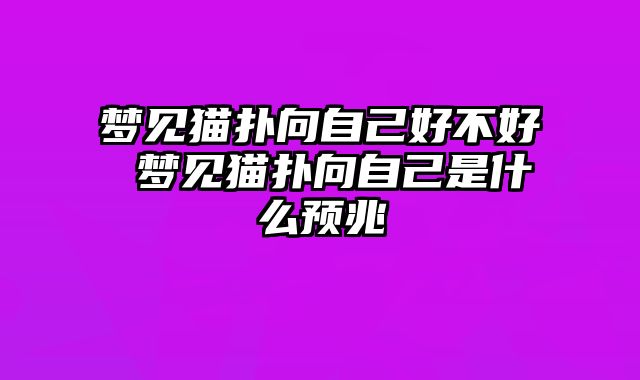 梦见猫扑向自己好不好 梦见猫扑向自己是什么预兆