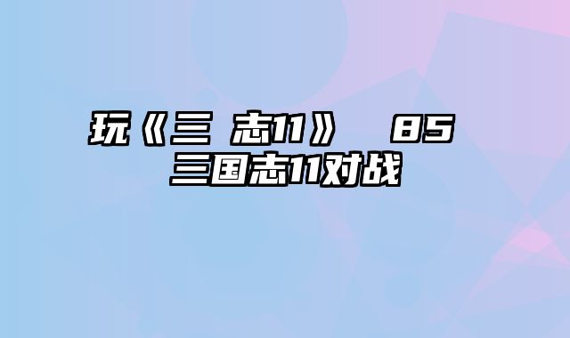 玩《三國志11》戰報85 三国志11对战