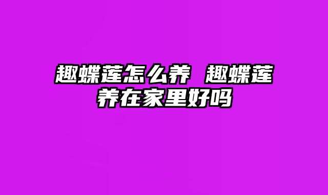 趣蝶莲怎么养 趣蝶莲养在家里好吗