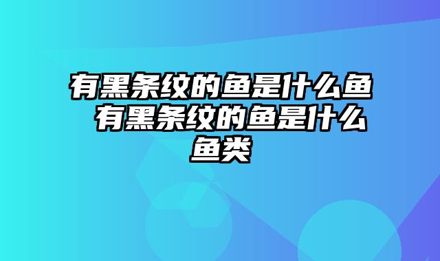 有黑条纹的鱼是什么鱼 有黑条纹的鱼是什么鱼类